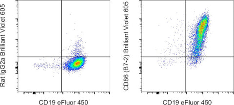 CD86 (B7-2) Monoclonal Antibody (GL1), Brilliant Violet™ 605