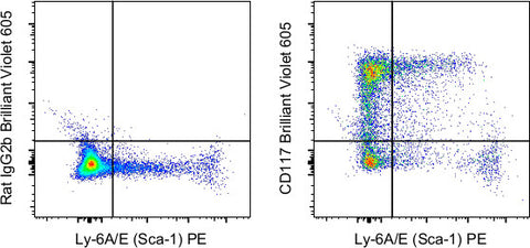 CD117 (c-Kit) Monoclonal Antibody (2B8), Brilliant Violet 605, eBioscience