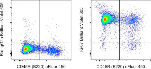 Ki-67 Monoclonal Antibody (SolA15), Brilliant Violet 605, eBioscience ...