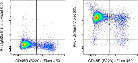 Ki-67 Monoclonal Antibody (SolA15), Brilliant Violet™ 605