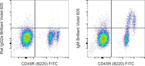 IgM Monoclonal Antibody (II/41), Brilliant Violet 605, eBioscience