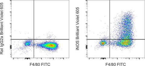 iNOS Monoclonal Antibody (CXNFT), Brilliant Violet 605, eBioscience