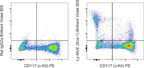 Ly-6A/E (Sca-1) Monoclonal Antibody (D7), Brilliant Violet 605, eBioscience