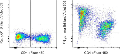 IFN gamma Monoclonal Antibody (XMG1.2), Brilliant Violet 605, eBioscience