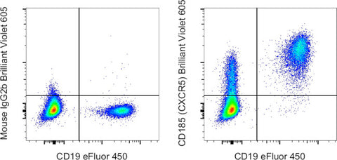 CD185 (CXCR5) Monoclonal Antibody (MU5UBEE), Brilliant Violet 605, eBioscience