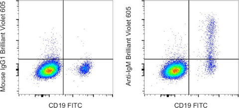 IgM Monoclonal Antibody (SA-DA4), Brilliant Violet 605, eBioscience