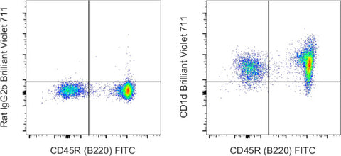 CD1d Monoclonal Antibody (1B1), Brilliant Violet 711, eBioscience