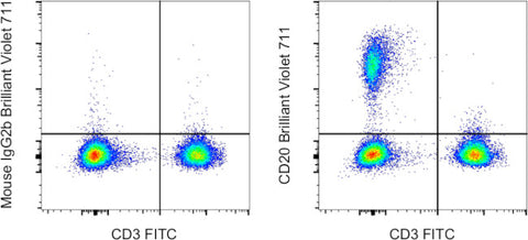 CD20 Monoclonal Antibody (2H7), Brilliant Violet™ 711