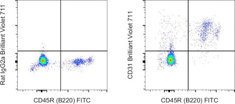 CD31 (PECAM-1) Monoclonal Antibody (390), Brilliant Violet 711, eBioscience