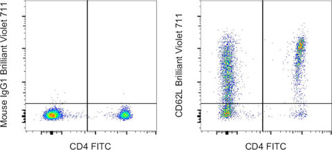 CD62L (L-Selectin) Monoclonal Antibody (DREG-56 (DREG56)), Brilliant Violet 711, eBioscience