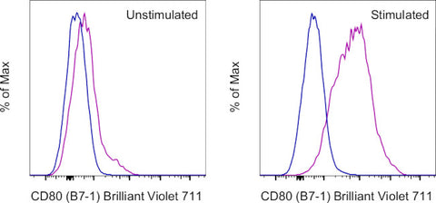 CD80 (B7-1) Monoclonal Antibody (16-10A1), Brilliant Violet 711, eBioscience