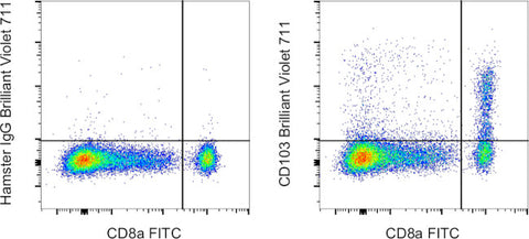 CD103 (Integrin alpha E) Monoclonal Antibody (2E7), Brilliant Violet™ 711