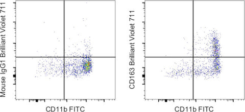 CD163 Monoclonal Antibody (eBioGHI/61 (GHI/61)), Brilliant Violet 711, eBioscience