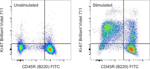 Ki-67 Monoclonal Antibody (SolA15), Brilliant Violet 711, eBioscience