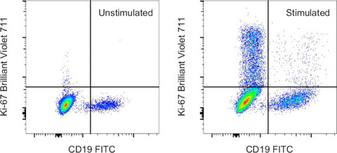 Ki-67 Monoclonal Antibody (20Raj1), Brilliant Violet 711, eBioscience
