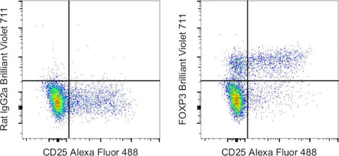 FOXP3 Monoclonal Antibody (FJK-16s), Brilliant Violet 711, eBioscience