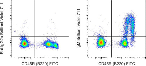 IgM Monoclonal Antibody (II/41), Brilliant Violet 711, eBioscience