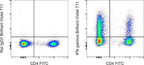 IFN gamma Monoclonal Antibody (XMG1.2), Brilliant Violet 711, eBioscience