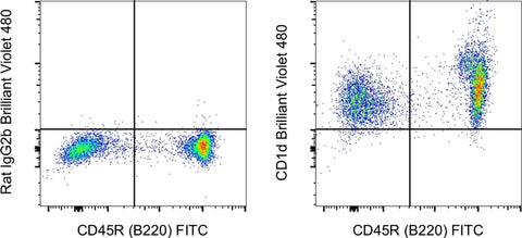 CD1d Monoclonal Antibody (1B1), Brilliant Violet 480, eBioscience