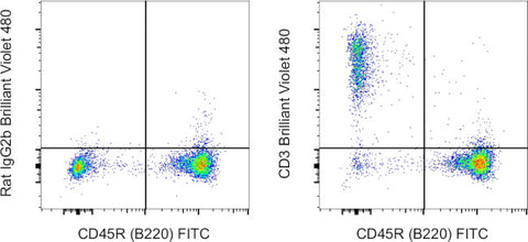 CD3 Monoclonal Antibody (17A2), Brilliant Violet 480, eBioscience