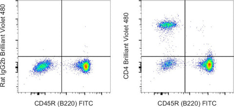 CD4 Monoclonal Antibody (GK1.5), Brilliant Violet™ 480