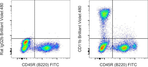 CD11b Monoclonal Antibody (M1/70), Brilliant Violet 480, eBioscience