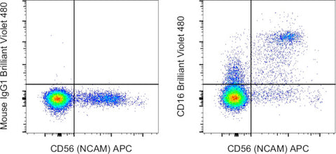 CD16 Monoclonal Antibody (eBioCB16 (CB16)), Brilliant Violet™ 480