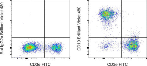 CD19 Monoclonal Antibody (eBio1D3 (1D3)), Brilliant Violet 480, eBioscience