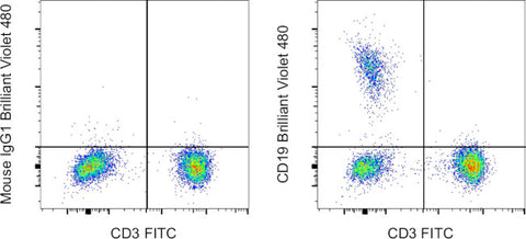 CD19 Monoclonal Antibody (HIB19), Brilliant Violet 480, eBioscience