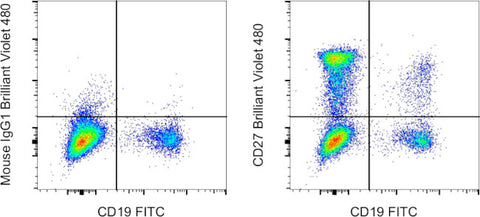 CD27 Monoclonal Antibody (O323), Brilliant Violet™ 480