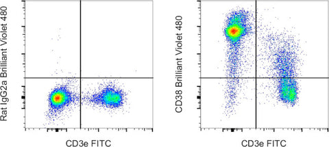 CD38 Monoclonal Antibody (90), Brilliant Violet™ 480