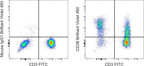 CD38 Monoclonal Antibody (HIT2), Brilliant Violet 480, eBioscience