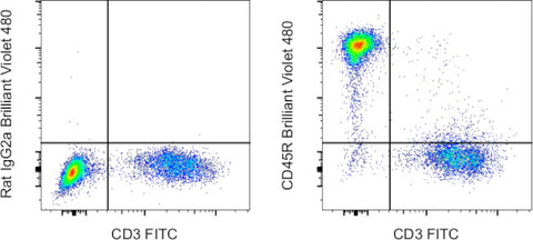 CD45R (B220) Monoclonal Antibody (RA3-6B2), Brilliant Violet 480, eBioscience