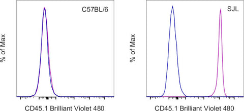 CD45.1 Monoclonal Antibody (A20), Brilliant Violet 480, eBioscience