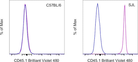 CD45.1 Monoclonal Antibody (A20), Brilliant Violet™ 480