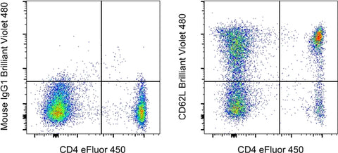 CD62L (L-Selectin) Monoclonal Antibody (DREG-56 (DREG56)), Brilliant Violet 480, eBioscience