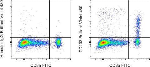 CD103 (Integrin alpha E) Monoclonal Antibody (2E7), Brilliant Violet™ 480