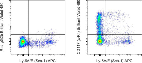 CD117 (c-Kit) Monoclonal Antibody (2B8), Brilliant Violet™ 480