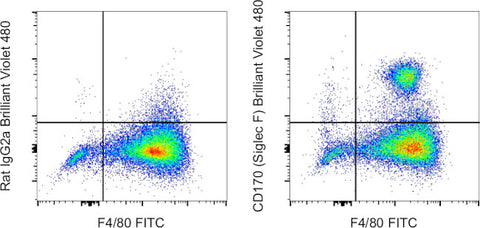 CD170 (Siglec F) Monoclonal Antibody (1RNM44N), Brilliant Violet 480, eBioscience