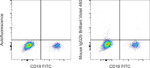 Mouse IgG2b kappa Isotype Control (eBMG2b), Brilliant Violet 480, eBioscience