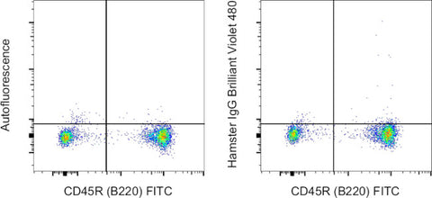 Armenian Hamster IgG Isotype Control (eBio299Arm), Brilliant Violet 480, eBioscience