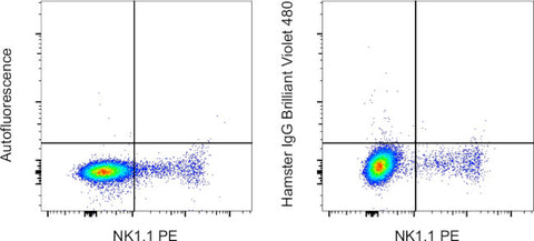 Syrian Hamster IgG Isotype Control, Brilliant Violet 480, eBioscience