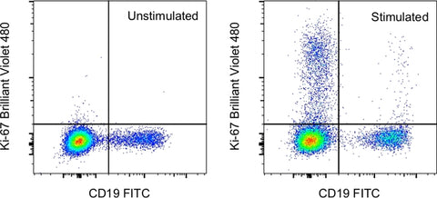 Ki-67 Monoclonal Antibody (20Raj1), Brilliant Violet™ 480