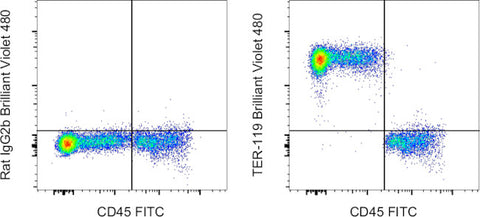 TER-119 Monoclonal Antibody (TER-119), Brilliant Violet 480, eBioscience