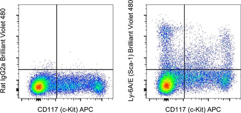Ly-6A/E (Sca-1) Monoclonal Antibody (D7), Brilliant Violet 480, eBioscience