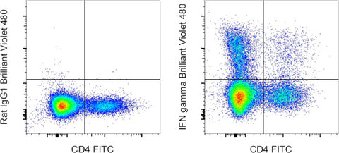 IFN gamma Monoclonal Antibody (XMG1.2), Brilliant Violet 480, eBioscience
