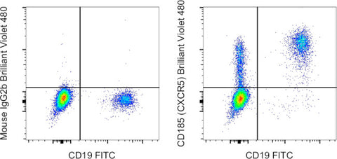 CD185 (CXCR5) Monoclonal Antibody (MU5UBEE), Brilliant Violet 480, eBioscience