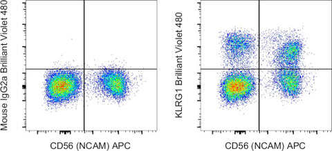 KLRG1 Monoclonal Antibody (13F12F2), Brilliant Violet 480, eBioscience