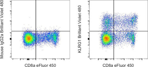 KLRG1 Monoclonal Antibody (13F12F2), Brilliant Violet™ 480