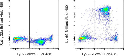 Ly-6G Monoclonal Antibody (1A8-Ly6g), Brilliant Violet 480, eBioscience